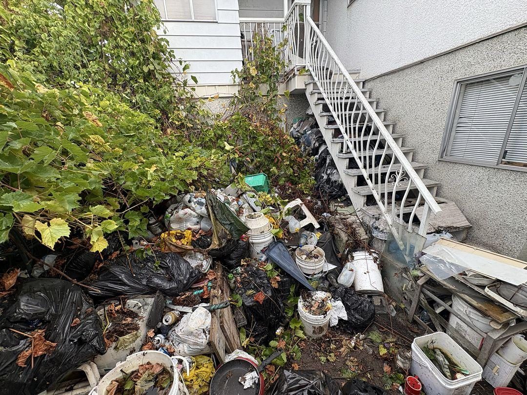 Before: overgrown backyard full of bags, containers and debris